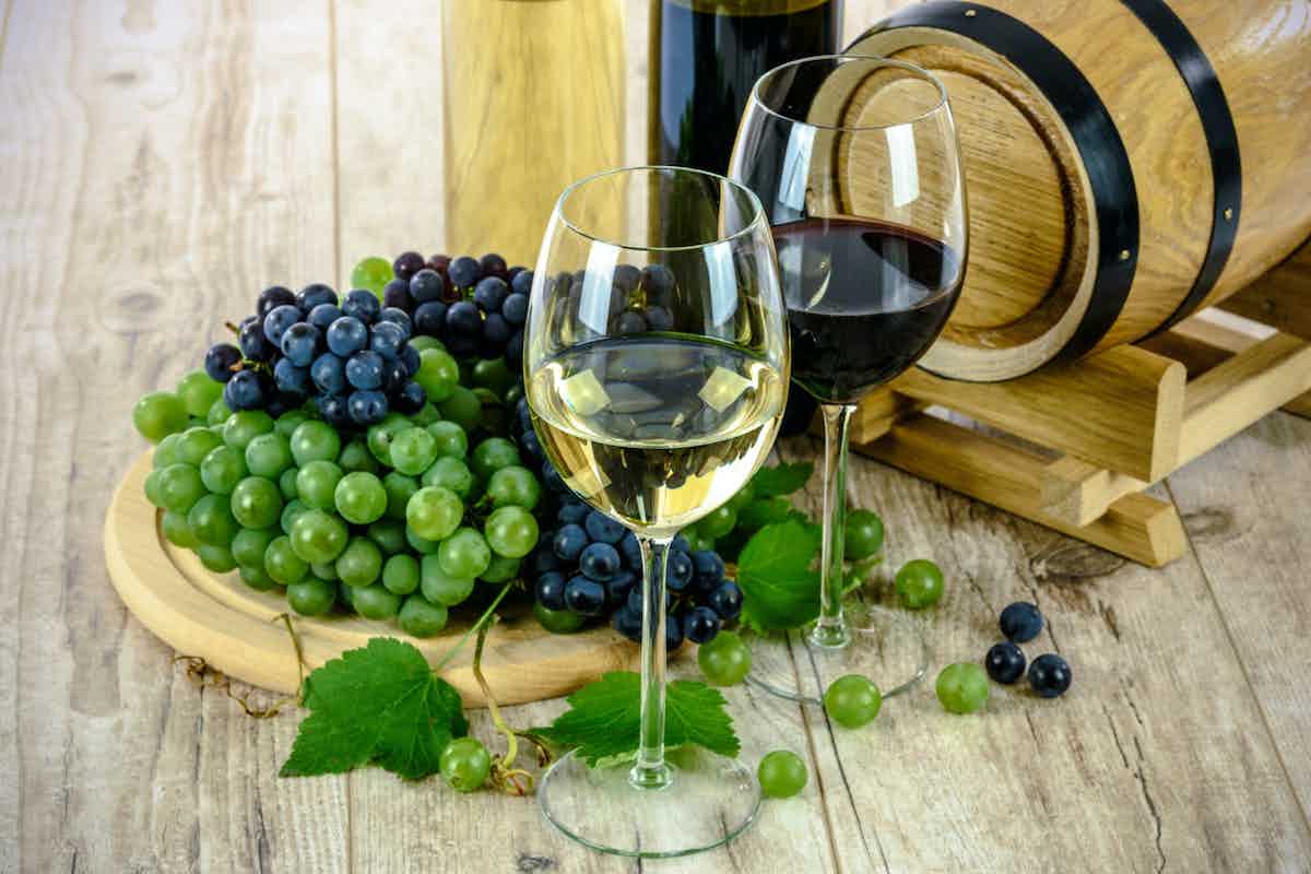 Become a wine club member - Levo wine